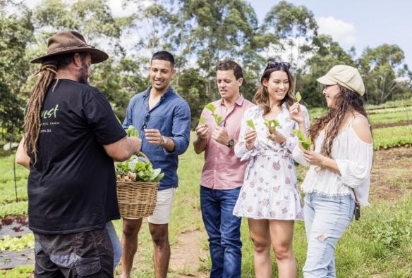 A group inspecting fresh produce, Creative Tours, Sunshine Coast, Queensland © Tourism Australia