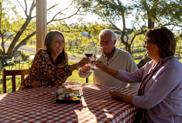 Three people clink glasses of wine at a table overlooking the vines of Tintilla Estate, Hunter Valley, New South Wales © Destination NSW