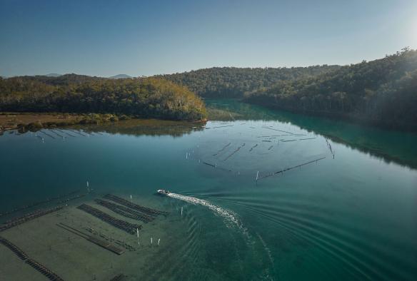 Aerial of the oyster leases at Broadwater Oysters, Pambula, New South Wales © Destination NSW