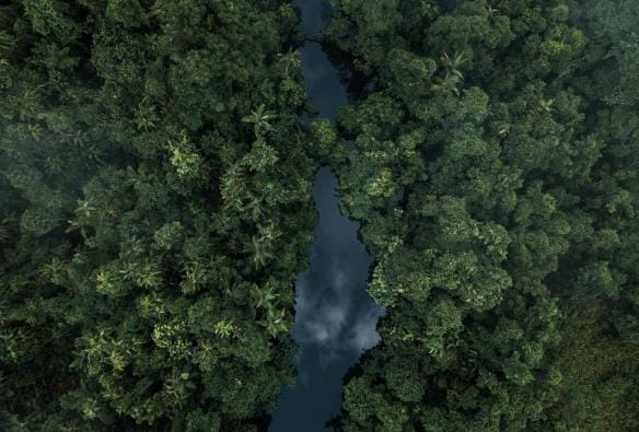 Aerial view of the Daintree Rainforest, Queensland © Melissa Findley/Tourism Australia