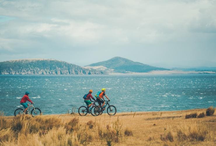 Three people riding mountain bikes along the grassy coast overlooking blue ocean on Maria Island National Park, Tasmania © Matt Staggs