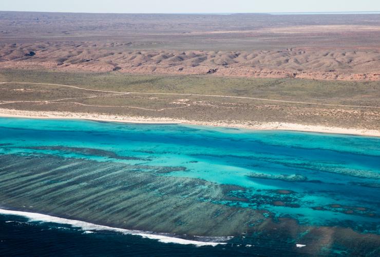 Aerial view of a white sand coastline with an outback landscape in the distance and clear blue ocean with a visible reef, Ningaloo Reef, Western Australia © Tourism Western Australia