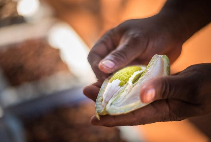 Karrke Aboriginal Cultural Experience, Uluru-Kata Tjuta National Park, NT © Tourism NT/Matt Glastonbury