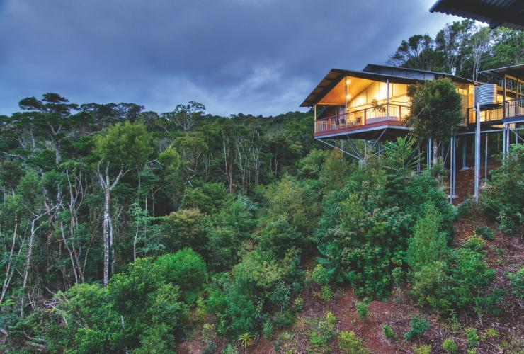 Treehouse accommodation overlooking bushland, O'Reilly's Rainforest Retreat, Lamington National Park, Queensland © O'Reilly's Rainforest Retreat