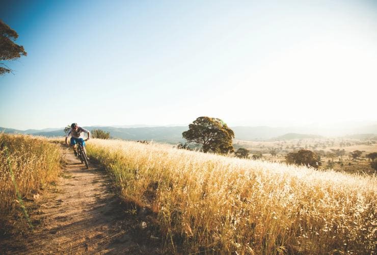 A cyclist riding through tall golden grass along a slim dirt track overlooking farmland along the Centenary Trail, Canberra, Australian Capital Territory © Visit Canberra
