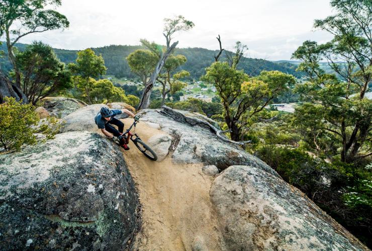 A person riding a mountain bike around a tight corner on the side of a rock face overlooking trees and a township below at Blue Derby Mountain Bike Trails, Derby, Tasmania © Tourism Tasmania/Revolution MTB