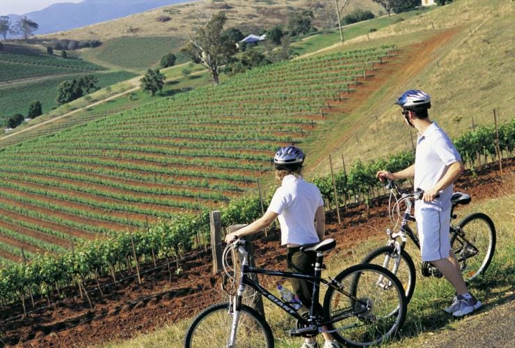 Two people cycling beside a lush green vineyard in the Hunter Valley, New South Wales © Destination NSW