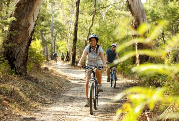 People cycling along a pathway through a green forest in the Grampians, Victoria © Visit Victoria 