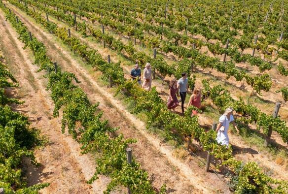 Sandalford Wines, Swan Valley, WA © Tourism Australia