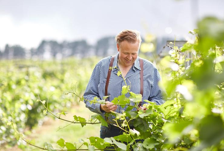 A person standing in a lush green vineyard, Lark Hill Winery, Canberra Wine District, Bungendore, New South Wales © Visit Canberra