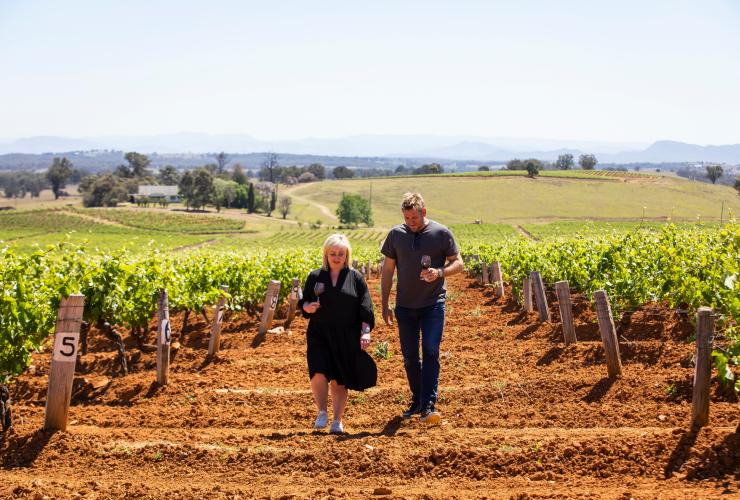 Two people walking through a vineyard while holding glasses of wine, Tyrrells Wines, Hunter Valley, New South Wales © Destination NSW