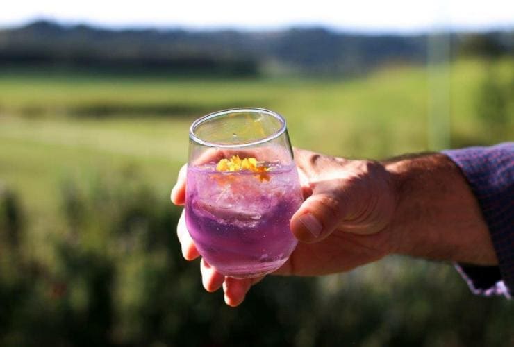 A hand holding a pink drink at Husk Distillers, Byron Bay, New South Wales © Husk Distillers 