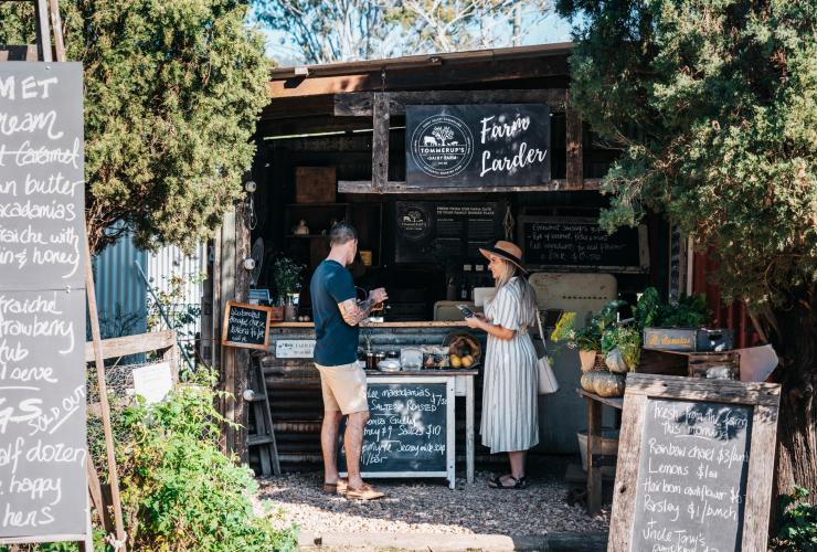 Couple tasting cheeses at a market stall at Tommerups Dairy Farm, Kerry, Queensland © Tourism and Events Queensland 