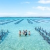 Experience Coffin Bay, Eyre Peninsula, South Australia © Tourism Australia