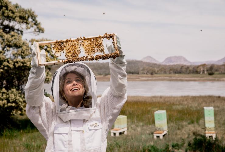 A person holding honeycomb in the air during a beekeeping experience, Saffire Freycinet, Freycinet, Tasmania © Saffire Freycinet