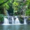 Elabana Falls, Lamington National Park, Queensland © Tourism and Events Queensland