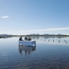 Saffire Signature Experiences, Freycinet Marine Oyster Farm, Coles Bay, Freycinet National Park, TAS © Tourism Tasmania