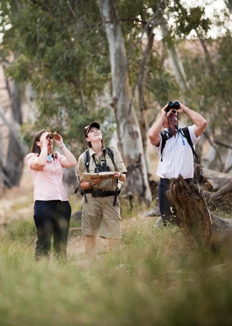 Field surveys, Arkaba Station, Flinders Ranges, SA © Wild Bush Luxury
