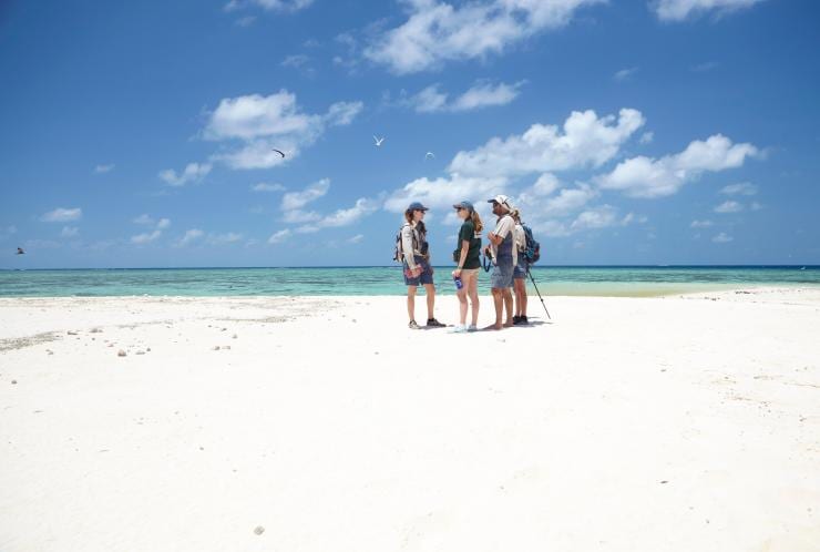 A group of people standing on a white sand cay with seabirds flying overhead, Michaelmas Cay, Great Barrier Reef, Queensland © Tourism Australia