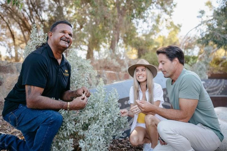 An Aboriginal guide with two guests in a garden, In Culture Tours, Kings Park, Western Australia © Tourism Australia