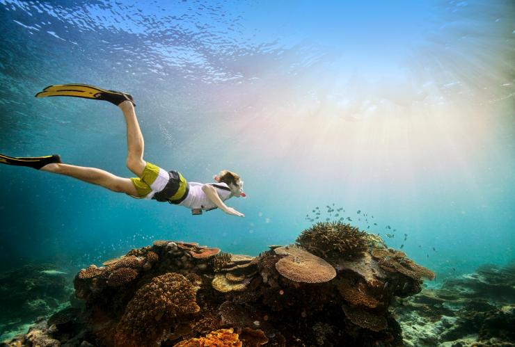 Man with snorkel and fins swims over coral reef, Lady Elliot Island, Great Barrier Reef, Queensland © Darren Jew