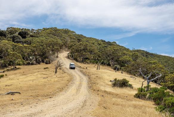 A car drives up a dusty hill, Coast and Co, Blowhole Beach, South Australia © Tourism Australia