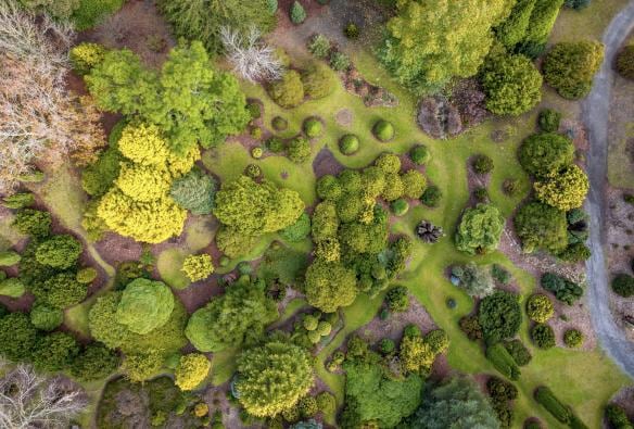A birds-eye view of a park, Sequoia Lodge, Crafers, South Australia © Tourism Australia
