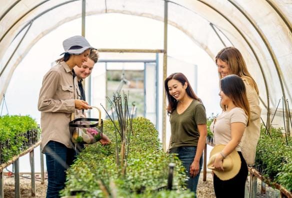 A group of people on a greenhouse tour, Jurlique, Biggs Flat, South Australia © Tourism Australia