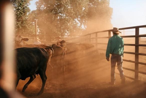 Bullo River Station, Baines, Northern Territory © Tourism Australia