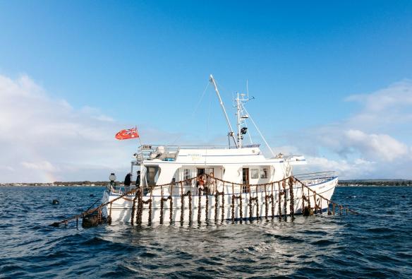 An aerial image shows the Portarlington Mussel Tours trawler boat floating gracefully on the sparkling waters of Port Phillip Bay, Geelong and the Bellarine, Victoria © Tourism Australia