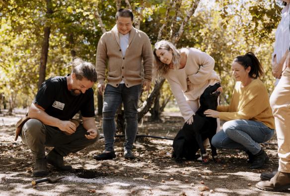 A tour guide crouching, surrounded by a tour and a working dog as he searches for truffles, Truffle Hill, Manjimup, Western Australia ©  Tourism Australia