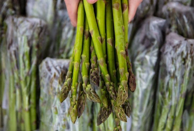 Asparagus, Albany Farmers Market, Western Australia © Tourism Australia