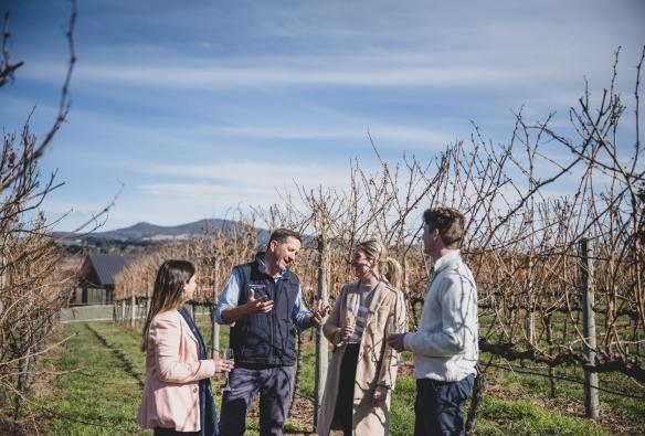 Guided tour outside in the vineyard at Orange, New South Wales © Tourism Australia