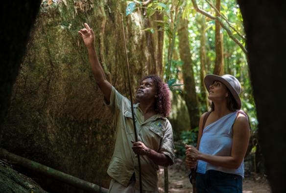 Mossman Gorge Centre, Daintree Rainforest, Queensland © Tourism and Events Queensland