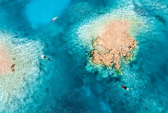 Snorkelling, Rowley Shoals, Western Australia © Tourism Australia