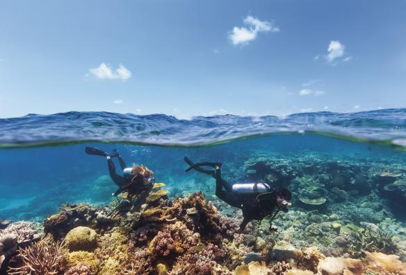 Scuba diving, Agincourt Reef, Tropical North Queensland © Tourism and Events Queensland