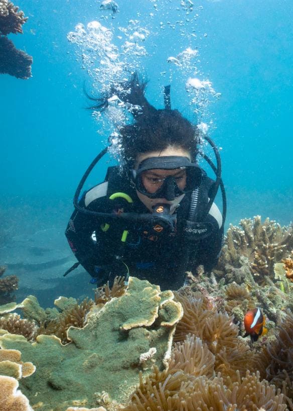 Keppel Dive and Snorkel, Great Keppel Island, Queensland © Tourism and Events Queensland