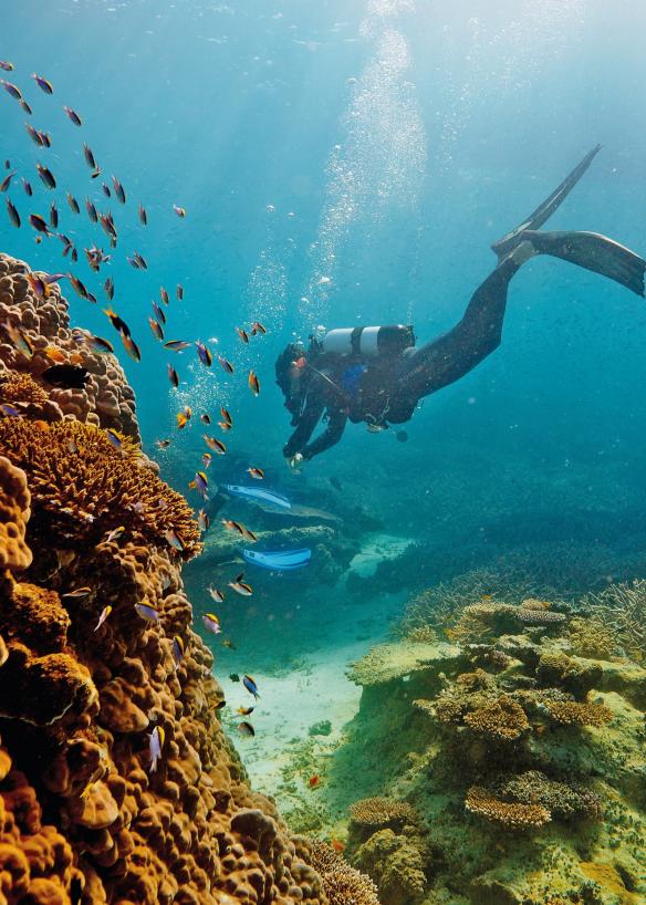 Heron Island, Great Barrier Reef, Queensland © Tourism and Events Queensland