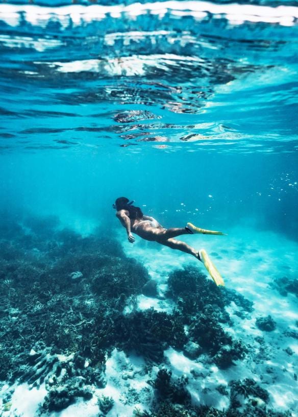 Snorkelling, Heron Island, Queensland © James Vodicka