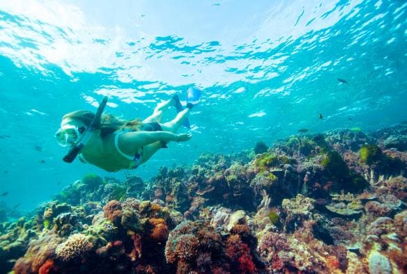 Snorkelling at Lord Howe Island, NSW © Trevor King, Destination NSW