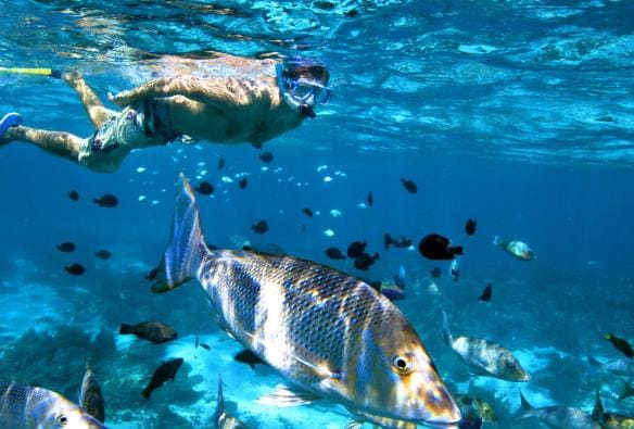 Coral Bay, Ningaloo Marine Park, Western Australia © Australia's Coral Coast