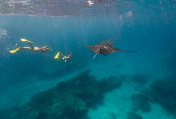 Coral Bay, Ningaloo Reef, Western Australia © Tourism Western Australia 