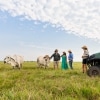 Guests standing with cows in a paddock at Finniss River Lodge, Rakula, Northern Territory © Tourism Australia