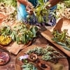 Native ingredients on a table at Ayers Rock Resort © Voyages