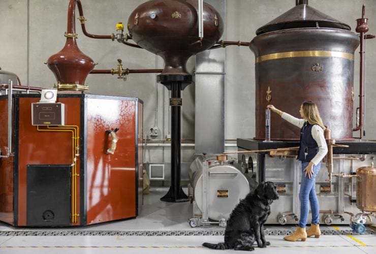 Woman standing with a dog looking at the distilling equipment at Bass & Flinders Distillery, Mornington Peninsula, Victoria © Tourism Australia