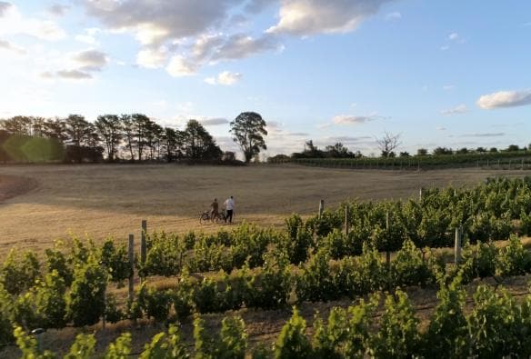 Clonakilla Winery, Canberra Wine District, New South Wales ©  Destination NSW