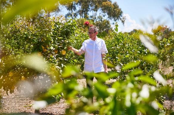 A man in a chef’s jacket walks through a green garden at Brae, Birregurra, Victoria © Tourism Australia 