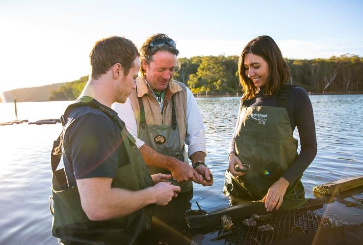 Captain Sponge's Magical Oyster Tour, Pambula River, NSW © Destination NSW