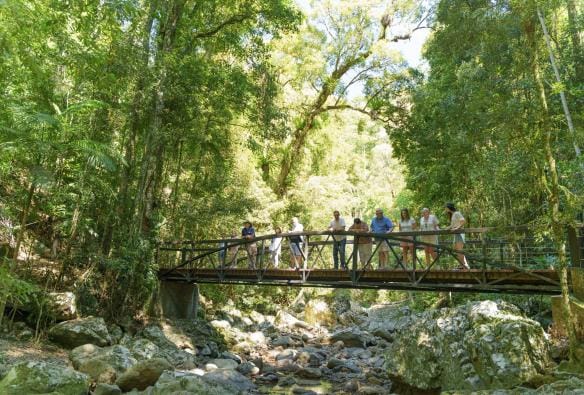 A group of people standing on a foot bridge surrounded by rainforest, Southern Cross Tours, Springbrook National Park, Tamborine Mountain, Queensland © Tourism Australia