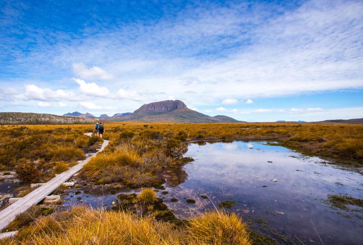 Two people hiking along a wooden boardwalk over alpine plains, Cradle Mountain Huts Walk, Cradle Mountain-Lake St Clair National Park, Tasmania © Great Walks of Australia